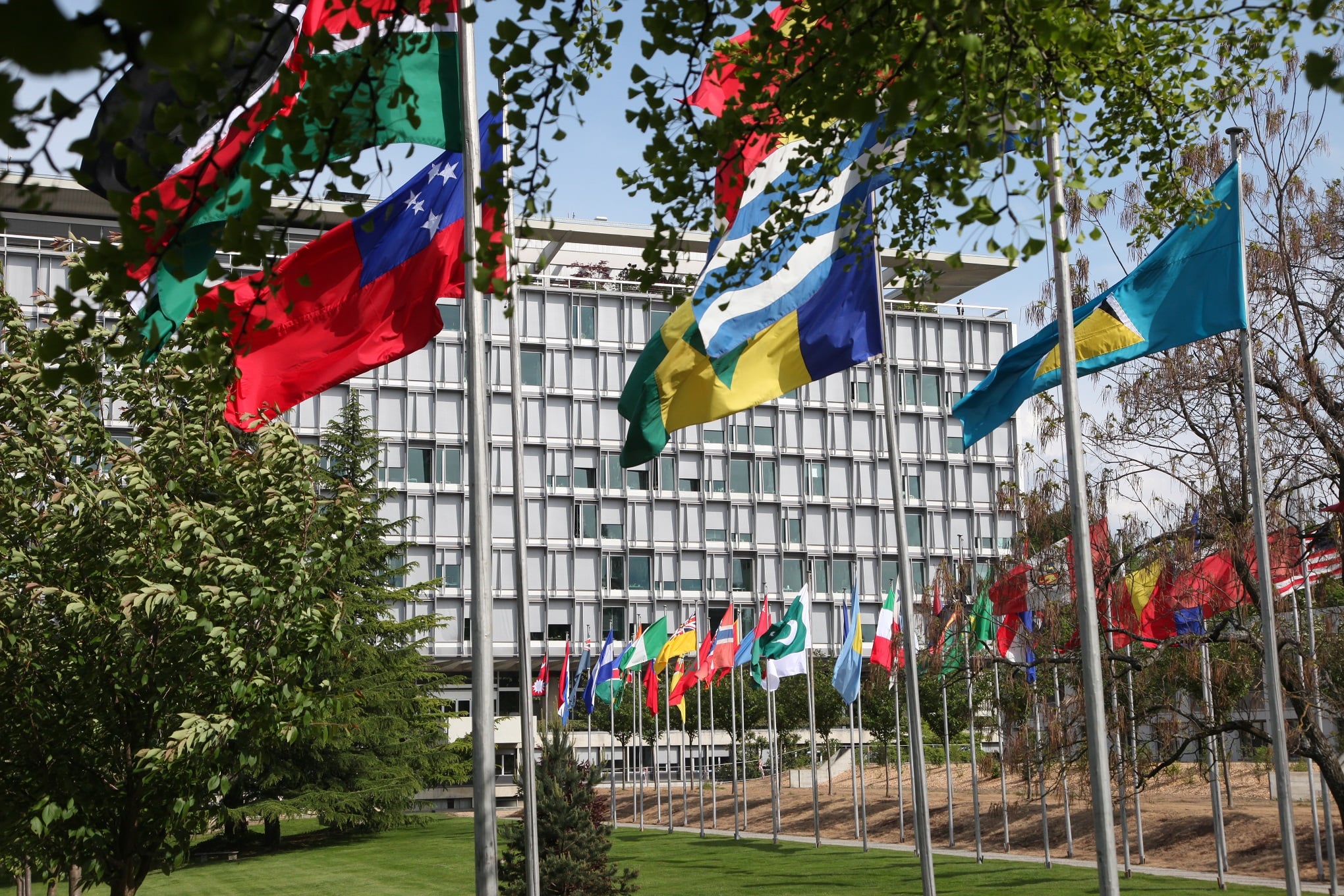 Flags in WHO HQ photo