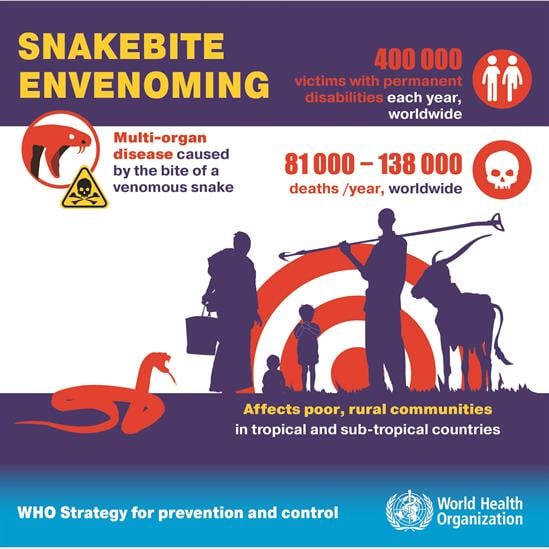 Snakebite envenoming - the facts