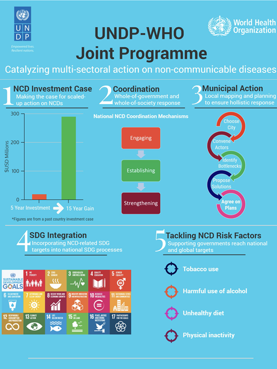 UNDP/WHO Joint Programme on NCDs